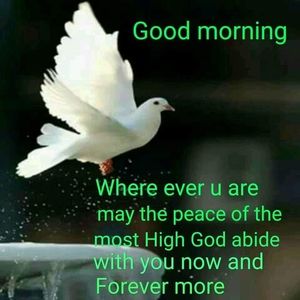 Meet your Posher, Jeff